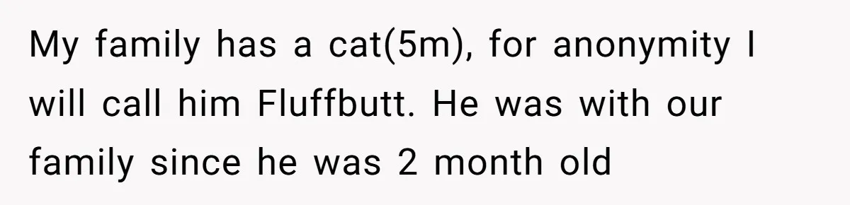 My family has a cat(5m), for anonymity I will call him Fluffbutt. He was with our family since he was 2 month old
