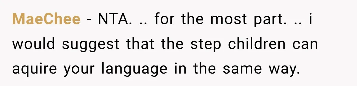 MaeChee − NTA. .. for the most part. .. i would suggest that the step children can aquire your language in the same way.