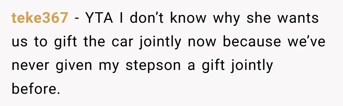teke367 − YTA I don’t know why she wants us to gift the car jointly now because we’ve never given my stepson a gift jointly before.