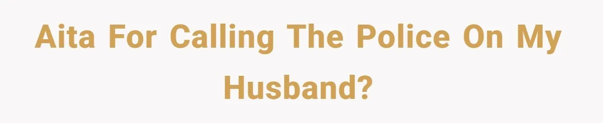 AITA For Calling The Police On My Husband?