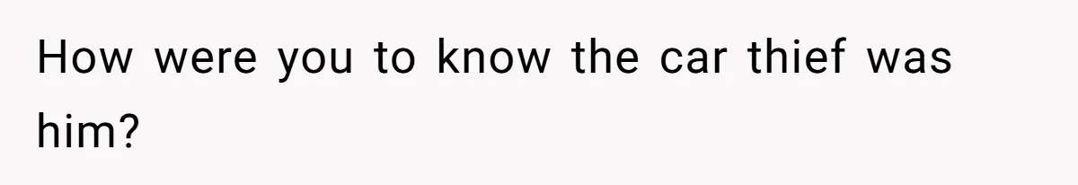 How were you to know the car thief was him?