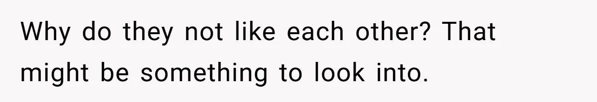 Why do they not like each other? That might be something to look into.