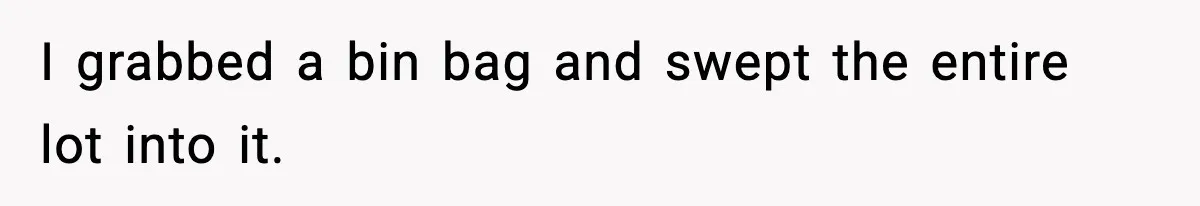 I grabbed a bin bag and swept the entire lot into it.