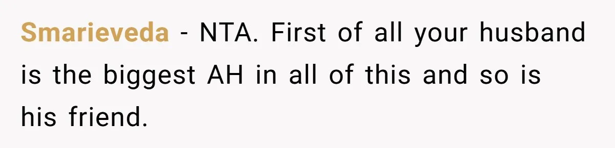 Smarieveda − NTA. First of all your husband is the biggest AH in all of this and so is his friend.