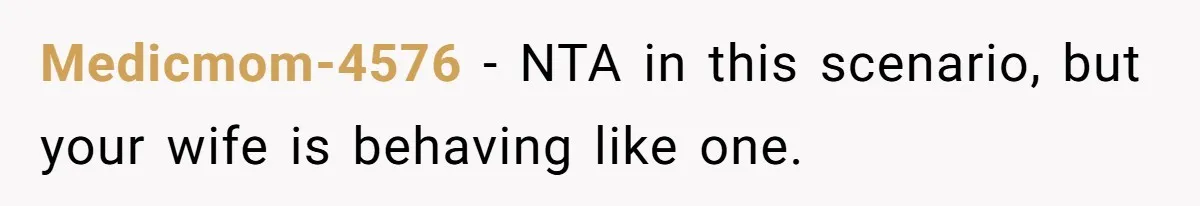 Medicmom-4576 − NTA in this scenario, but your wife is behaving like one.