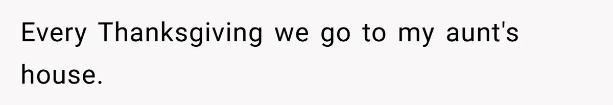 Every Thanksgiving we go to my aunt's house.