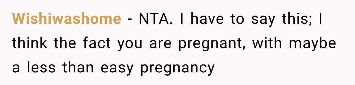 Wishiwashome − NTA. I have to say this; I think the fact you are pregnant, with maybe a less than easy pregnancy