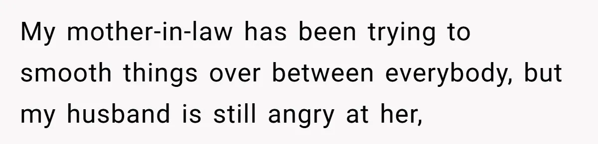 My mother-in-law has been trying to smooth things over between everybody, but my husband is still angry at her,