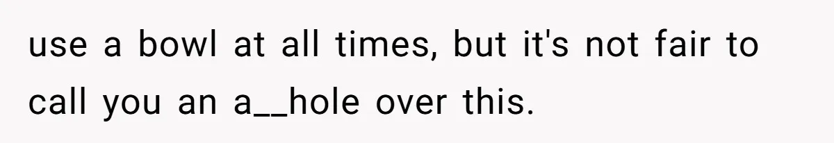 use a bowl at all times, but it's not fair to call you an a__hole over this.
