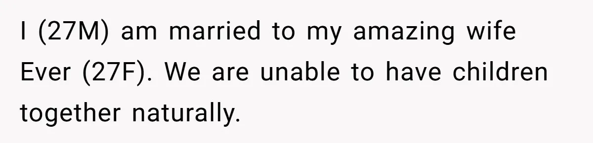 I (27M) am married to my amazing wife Ever (27F). We are unable to have children together naturally.