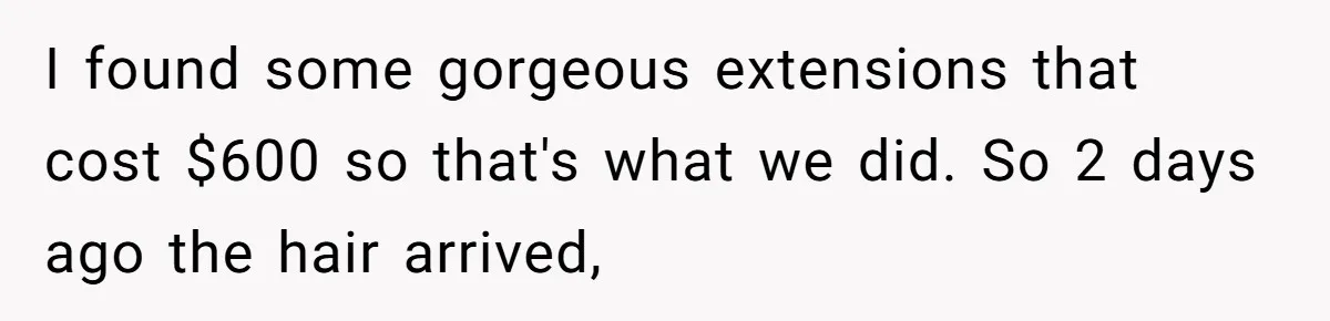 I found some gorgeous extensions that cost $600 so that's what we did. So 2 days ago the hair arrived,