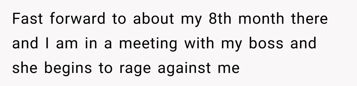 Fast forward to about my 8th month there and I am in a meeting with my boss and she begins to rage against me