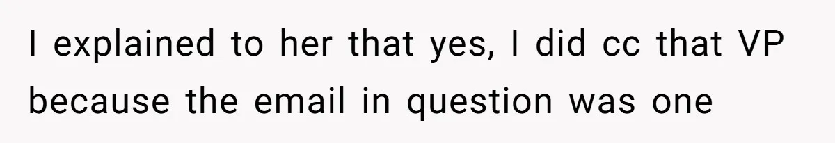 I explained to her that yes, I did cc that VP because the email in question was one