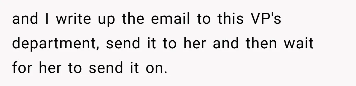 and I write up the email to this VP's department, send it to her and then wait for her to send it on.