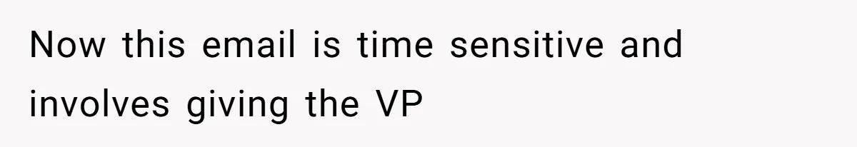 Now this email is time sensitive and involves giving the VP