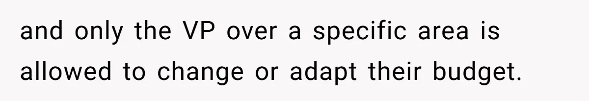 and only the VP over a specific area is allowed to change or adapt their budget.