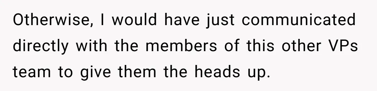 Otherwise, I would have just communicated directly with the members of this other VPs team to give them the heads up.