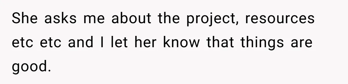 She asks me about the project, resources etc etc and I let her know that things are good.