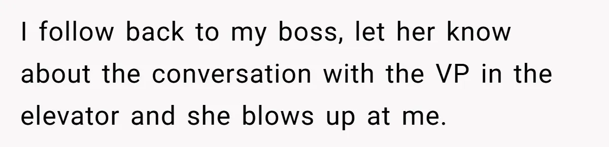 I follow back to my boss, let her know about the conversation with the VP in the elevator and she blows up at me.