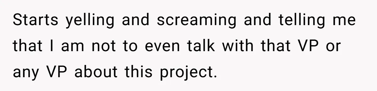 Starts yelling and screaming and telling me that I am not to even talk with that VP or any VP about this project.