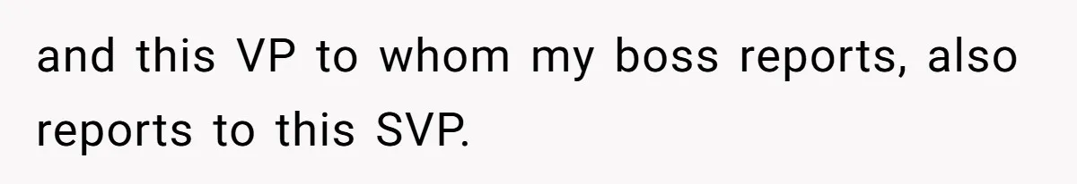 and this VP to whom my boss reports, also reports to this SVP.