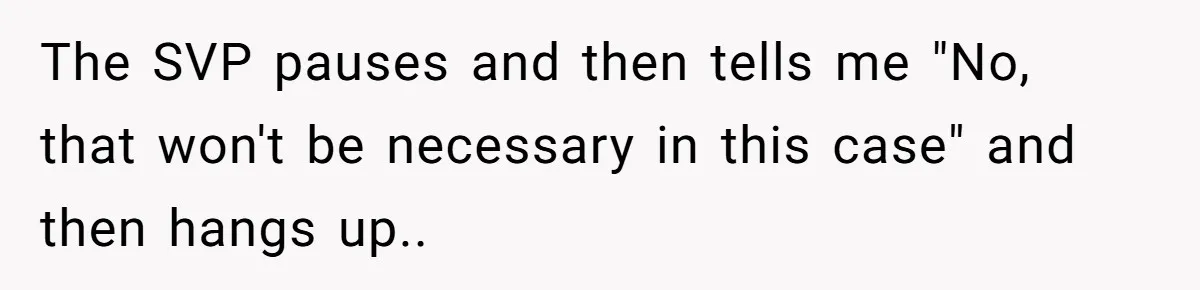 The SVP pauses and then tells me "No, that won't be necessary in this case" and then hangs up..