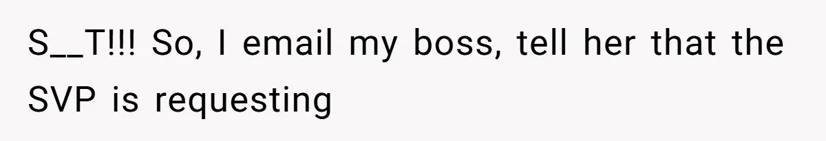 S__T!!! So, I email my boss, tell her that the SVP is requesting