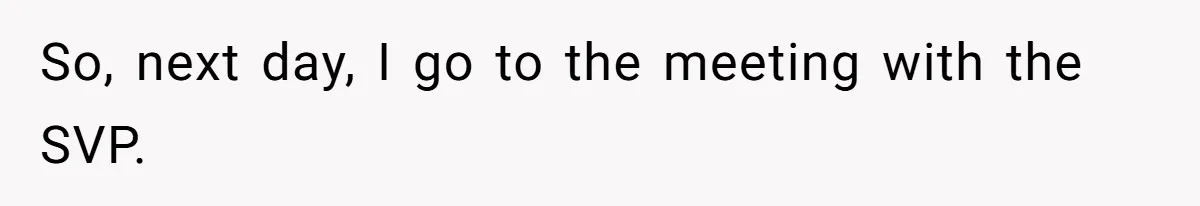 So, next day, I go to the meeting with the SVP.