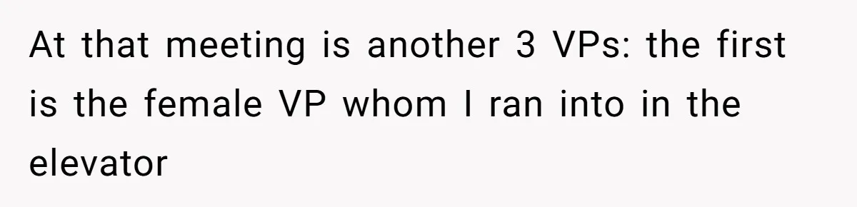 At that meeting is another 3 VPs: the first is the female VP whom I ran into in the elevator