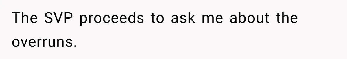 The SVP proceeds to ask me about the overruns.