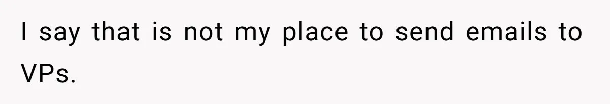 I say that is not my place to send emails to VPs.