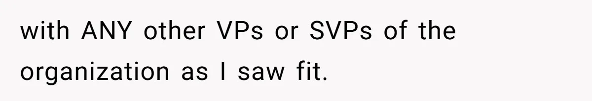 with ANY other VPs or SVPs of the organization as I saw fit.