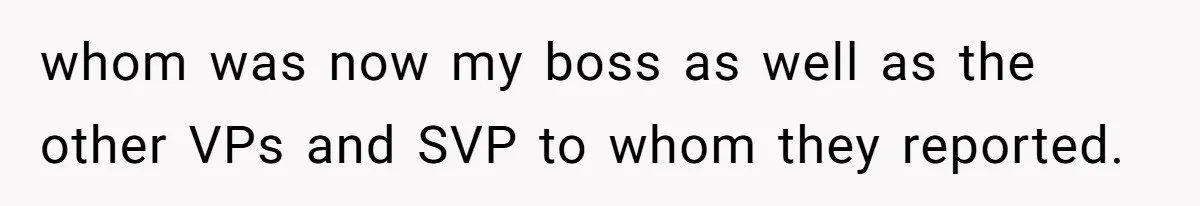 whom was now my boss as well as the other VPs and SVP to whom they reported.