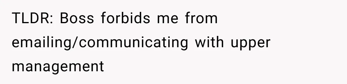 TLDR: Boss forbids me from emailing/communicating with upper management
