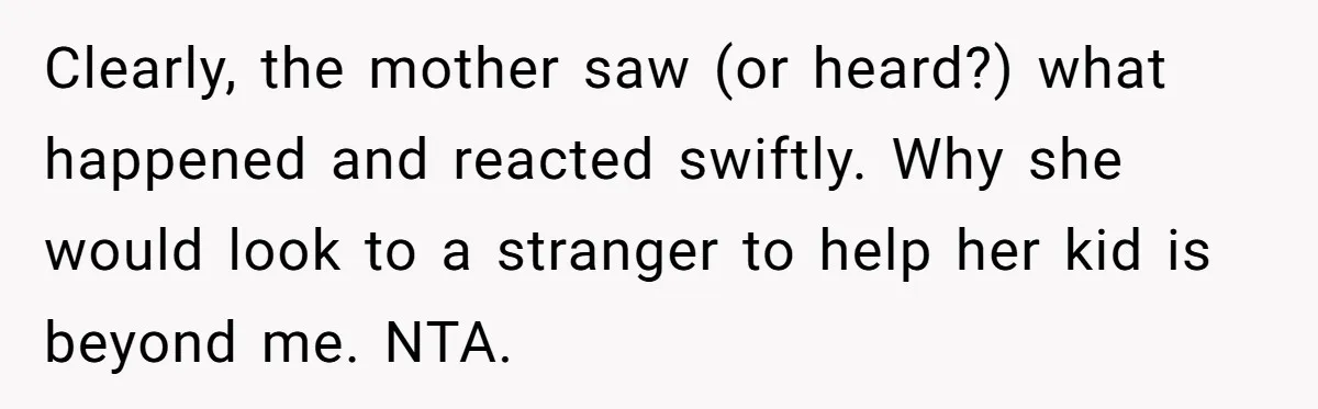 Clearly, the mother saw (or heard?) what happened and reacted swiftly. Why she would look to a stranger to help her kid is beyond me. NTA.