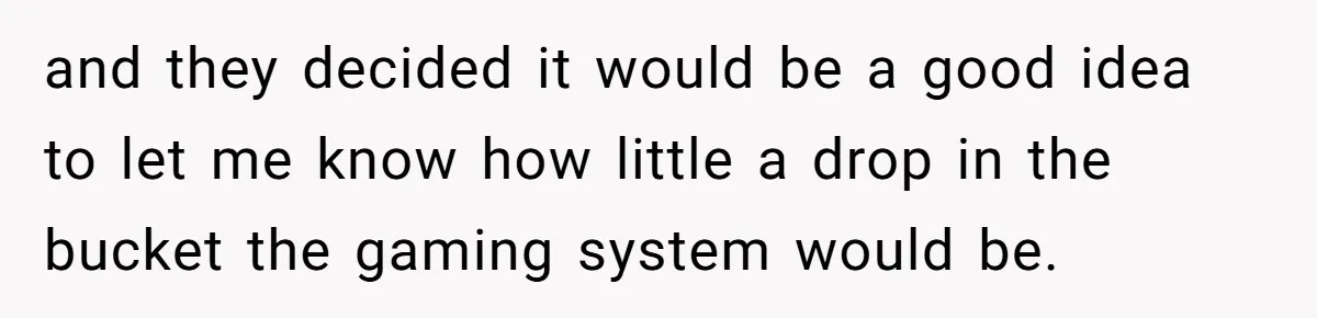 and they decided it would be a good idea to let me know how little a drop in the bucket the gaming system would be.
