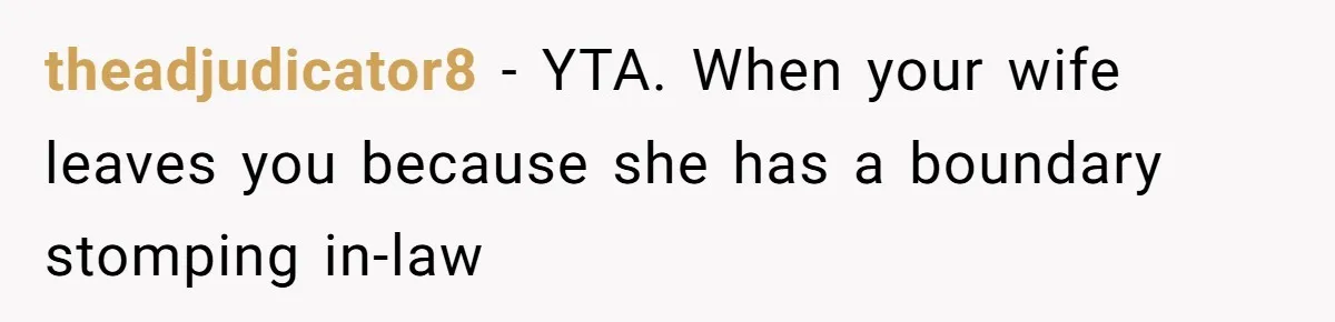 theadjudicator8 − YTA. When your wife leaves you because she has a boundary stomping in-law