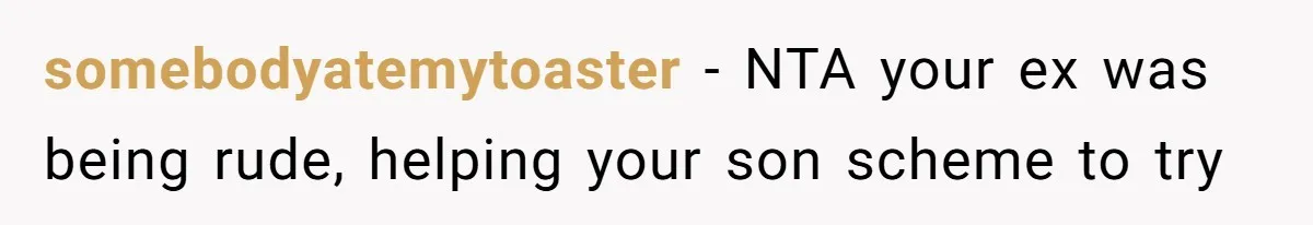 somebodyatemytoaster − NTA your ex was being rude, helping your son scheme to try