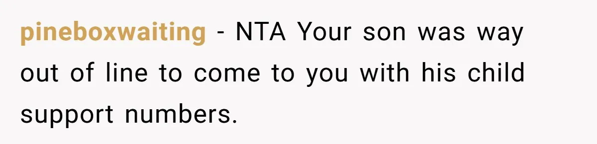 pineboxwaiting − NTA Your son was way out of line to come to you with his child support numbers.