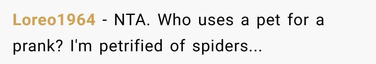 Loreo1964 − NTA. Who uses a pet for a prank? I'm petrified of spiders...