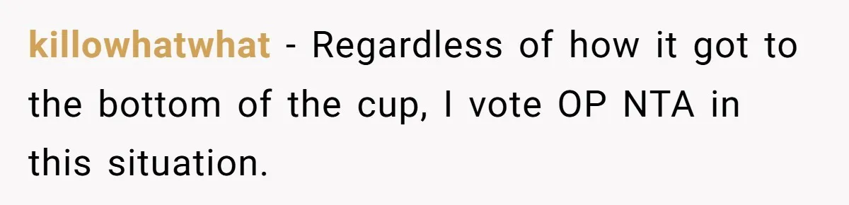 killowhatwhat − Regardless of how it got to the bottom of the cup, I vote OP NTA in this situation.
