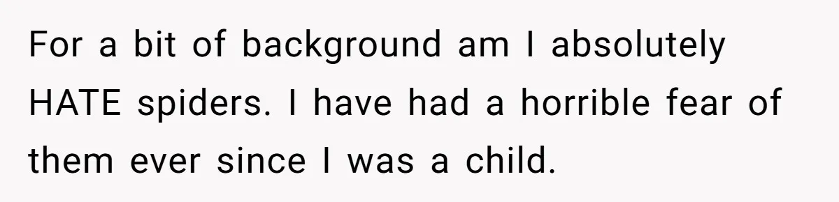 For a bit of background am I absolutely HATE spiders. I have had a horrible fear of them ever since I was a child.