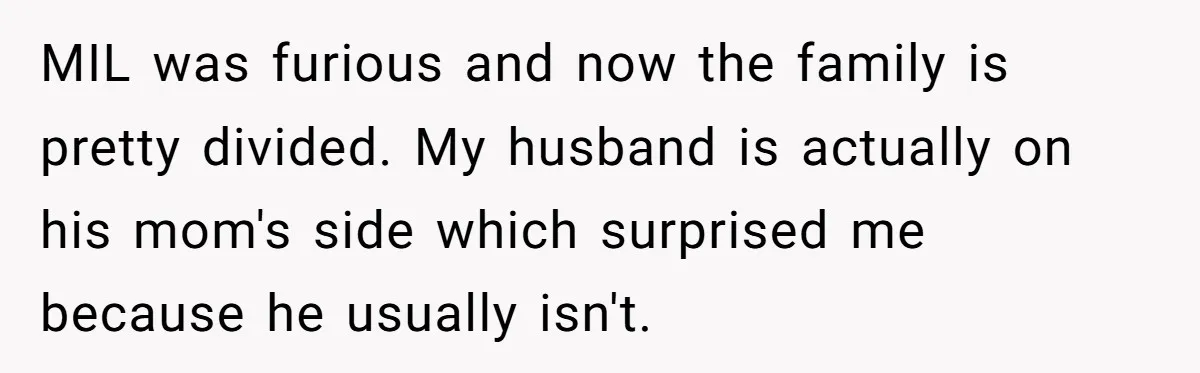 MIL was furious and now the family is pretty divided. My husband is actually on his mom's side which surprised me because he usually isn't.