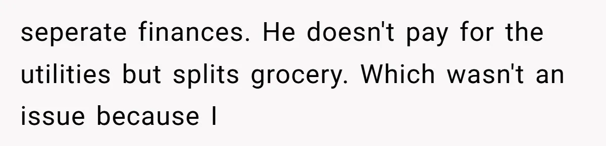 seperate finances. He doesn't pay for the utilities but splits grocery. Which wasn't an issue because I