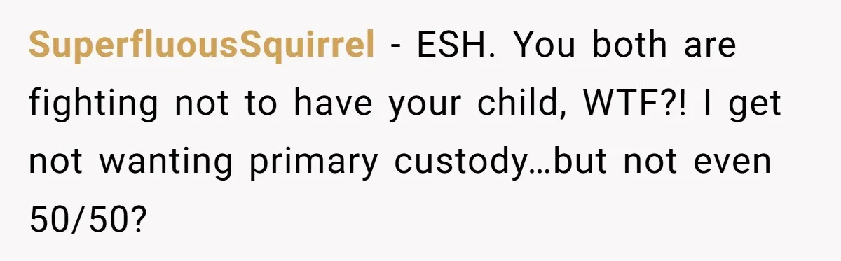 SuperfluousSquirrel − ESH. You both are fighting not to have your child, WTF?! I get not wanting primary custody…but not even 50/50?