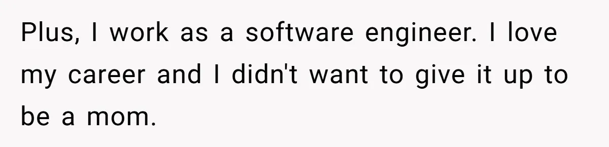 Plus, I work as a software engineer. I love my career and I didn't want to give it up to be a mom.