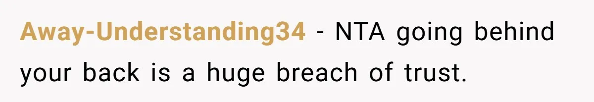 Away-Understanding34 − NTA going behind your back is a huge breach of trust.