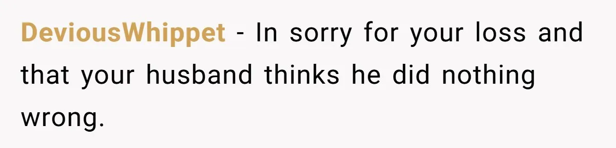 DeviousWhippet − In sorry for your loss and that your husband thinks he did nothing wrong.