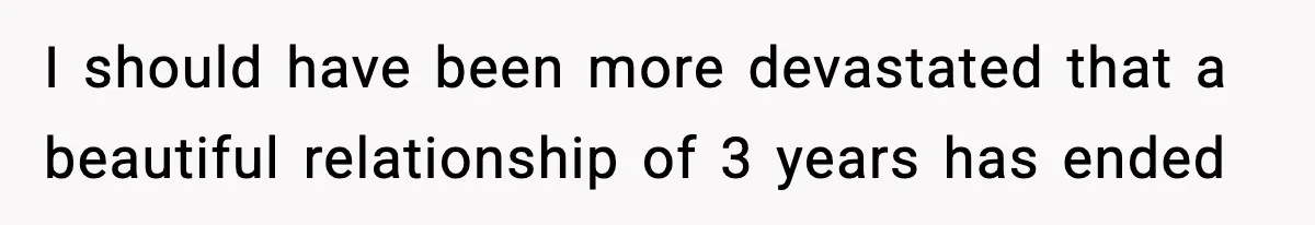 I should have been more devastated that a beautiful relationship of 3 years has ended