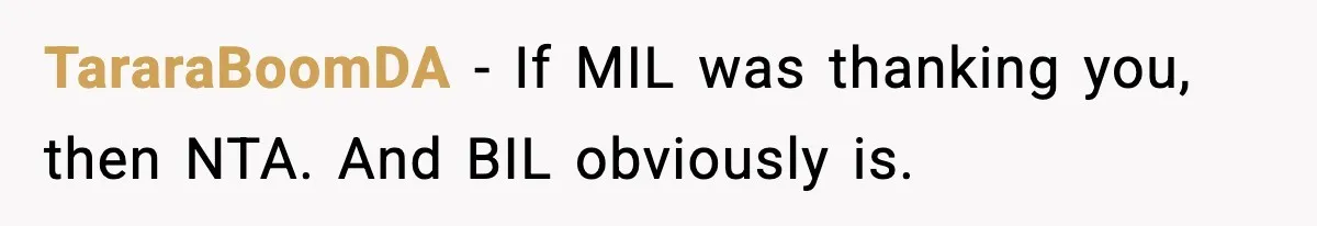 TararaBoomDA − If MIL was thanking you, then NTA. And BIL obviously is.